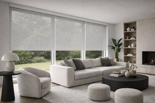 Forest Apollo Cordloop Roller Shade with Screen Fabric for Commercial and Residential Window Coverings