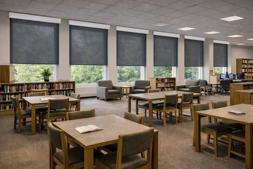 Forest Drapery Apollo Screen Roller Shade with Cord Loop Clutch System and Aluminum Bottom Rail